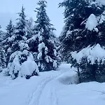 Jana 2 Rauris