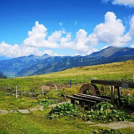 Jana 2 By Smr - Inc And Near Gondola * Rauris