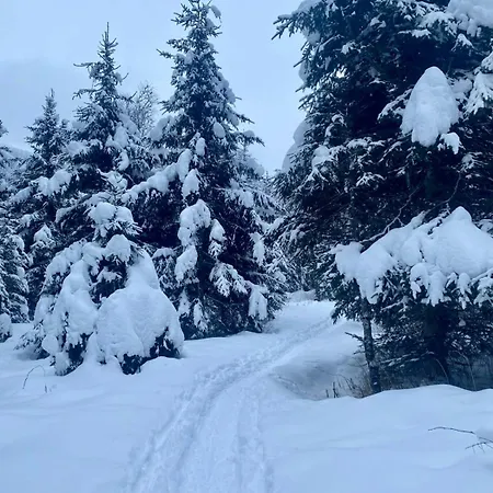 Jana 2 By Smr - Inc And Near Gondola Rauris